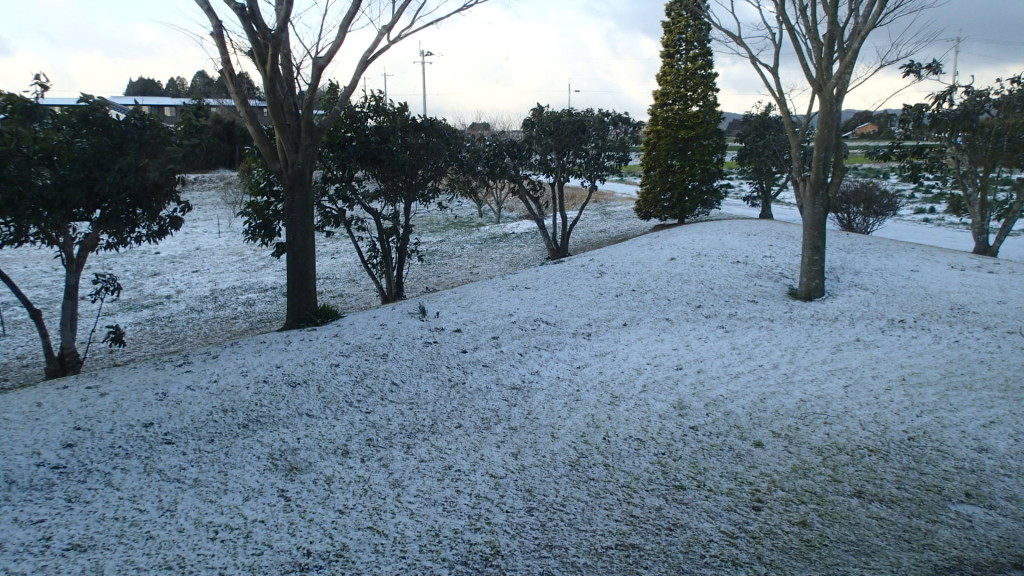 昼前には融けました。