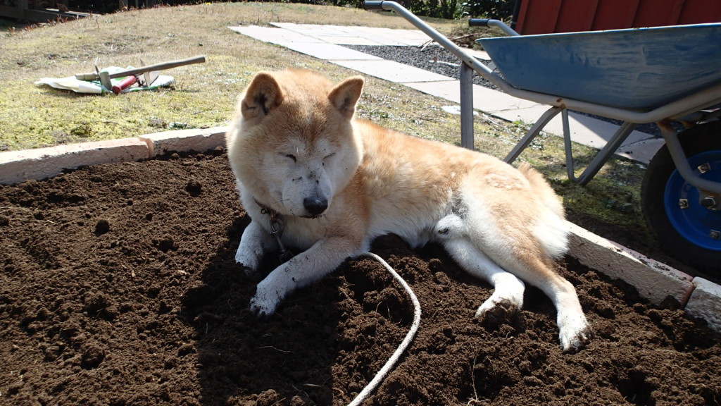 じゃま、じゃま、