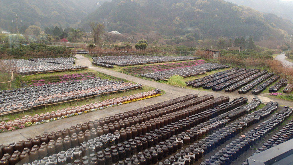 黒酢って若い頃から飲んでいました。