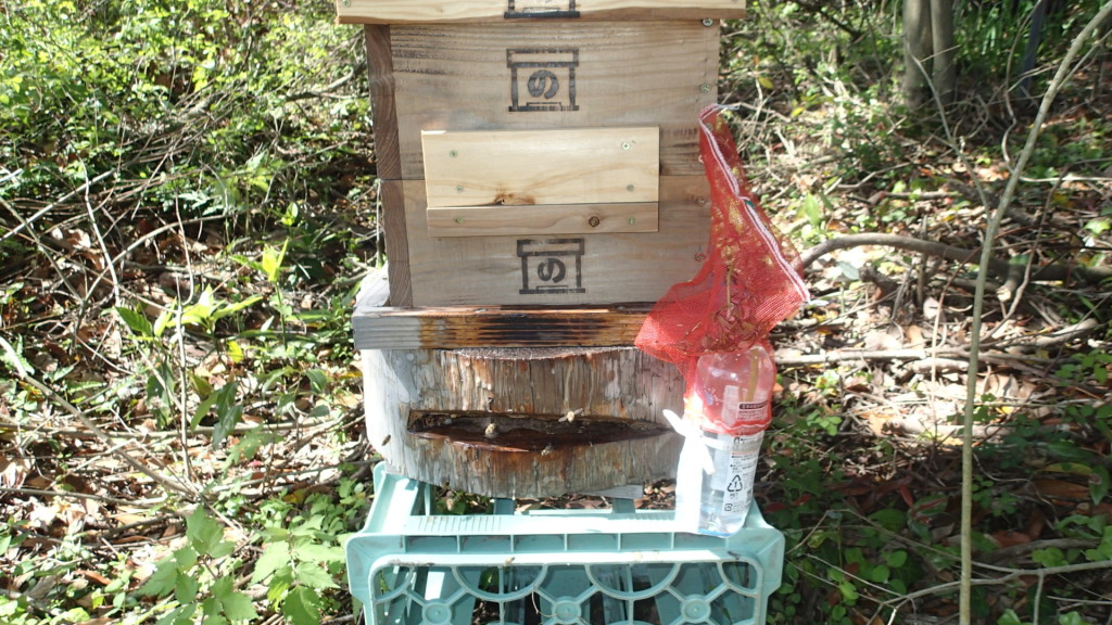 この丸太巣門台、蜂飼いになる前に作りました。なつかしいです。
