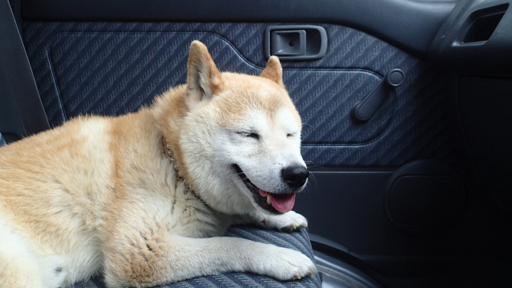 いっしょなら外見なくてもよいよ!