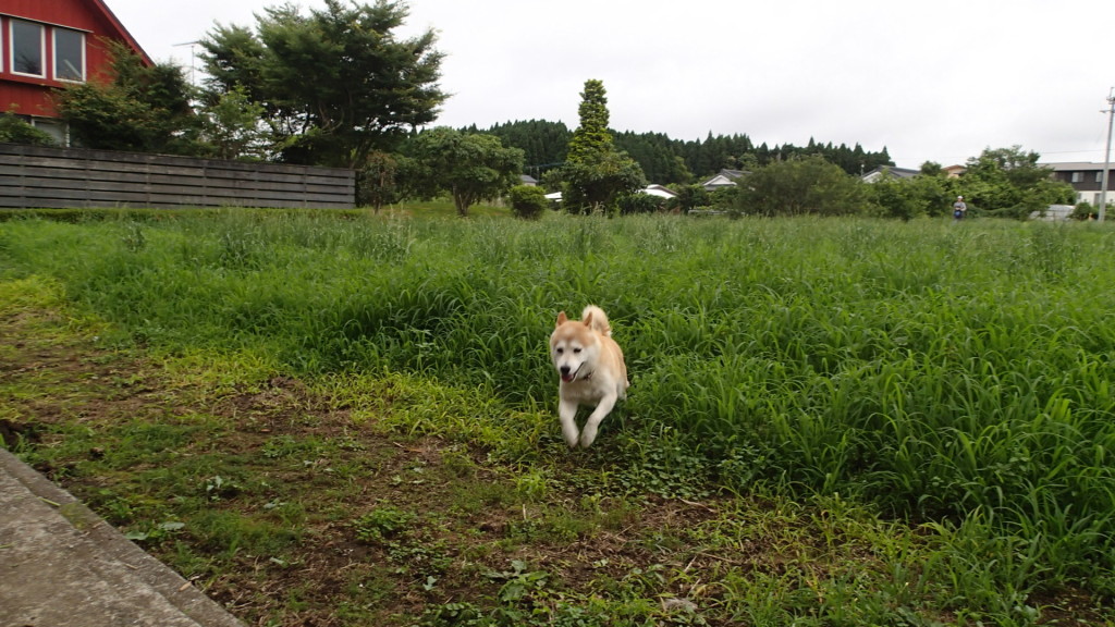躍動感あるでしょ～
