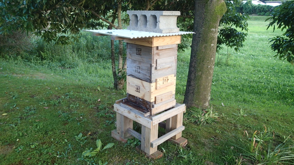 天気が良かったのでブンブンしていました。