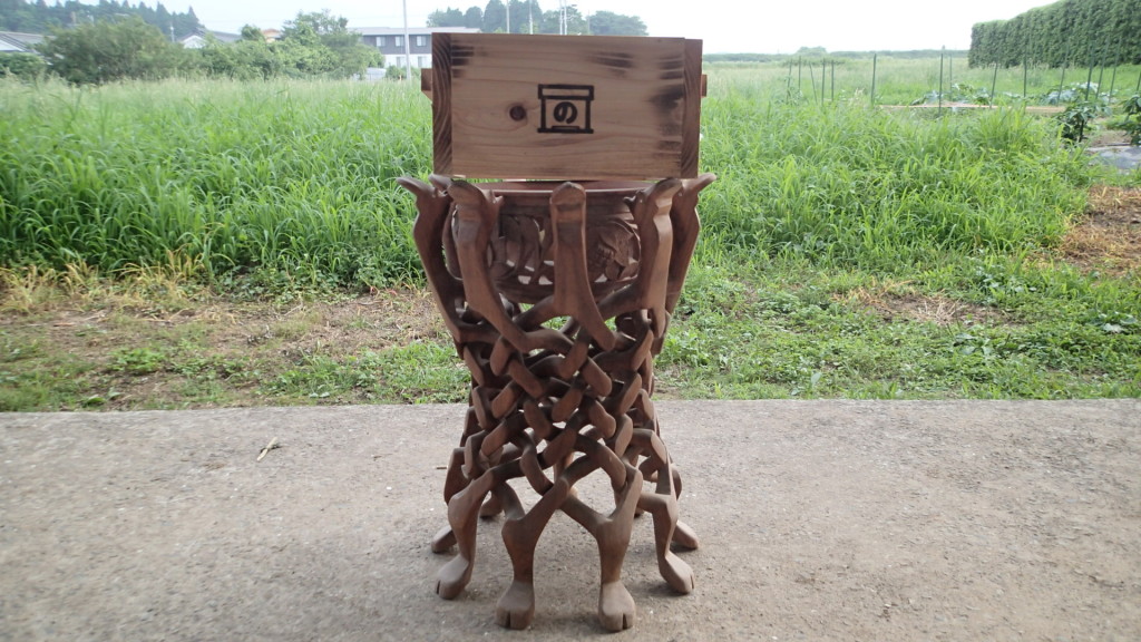 ムカデの写真がなかったので...