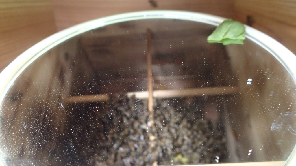 こんな点検もします。