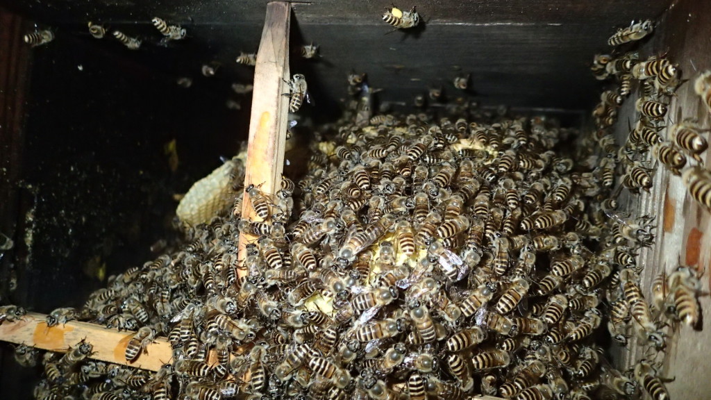 素直じゃないねぇ！