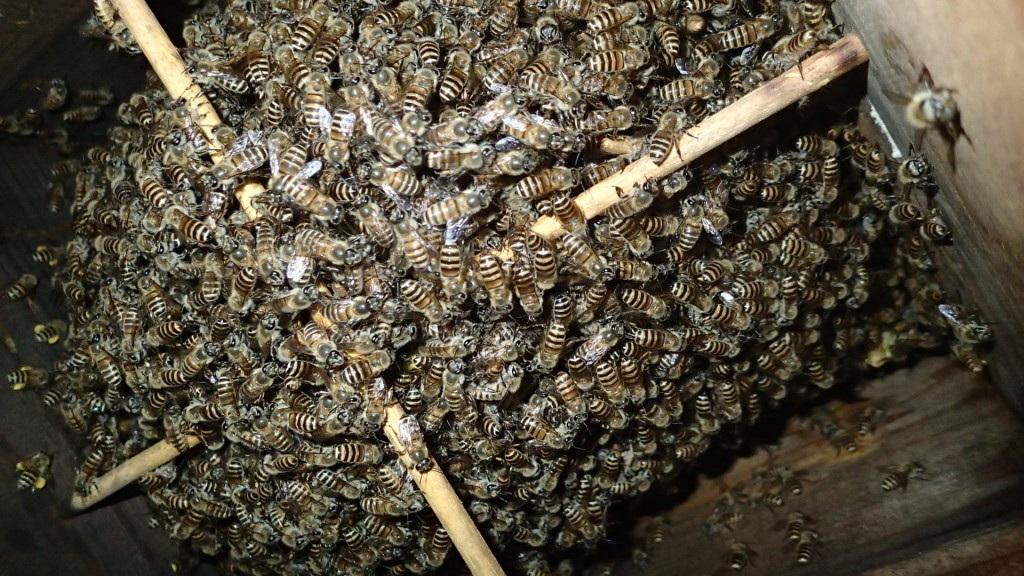 いい感じなんです。