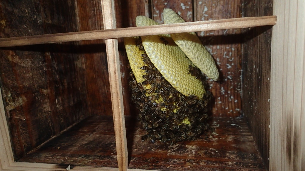 終わりが見えているようです。