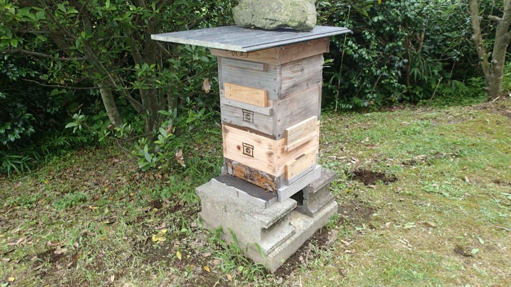 三段になりました。