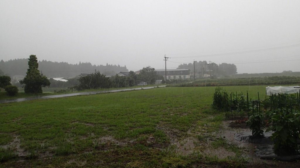 このころの雨は落ち着いていました。