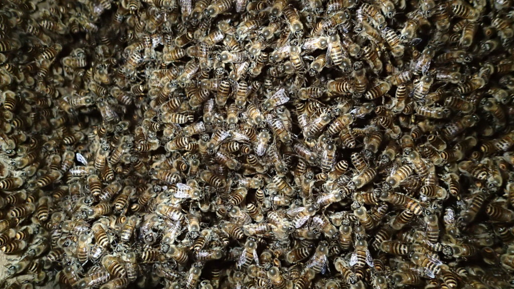 こんなんが一番うれしいです。