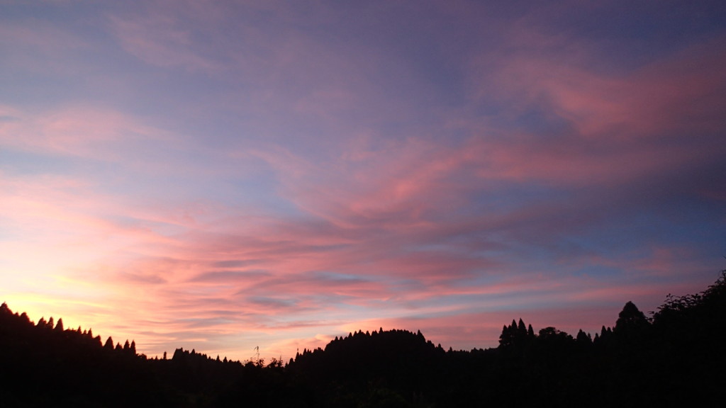 朝焼けがきれいでした。