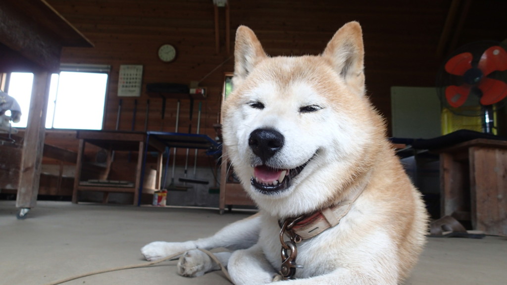 今日も暑いねおじさんって言っています。