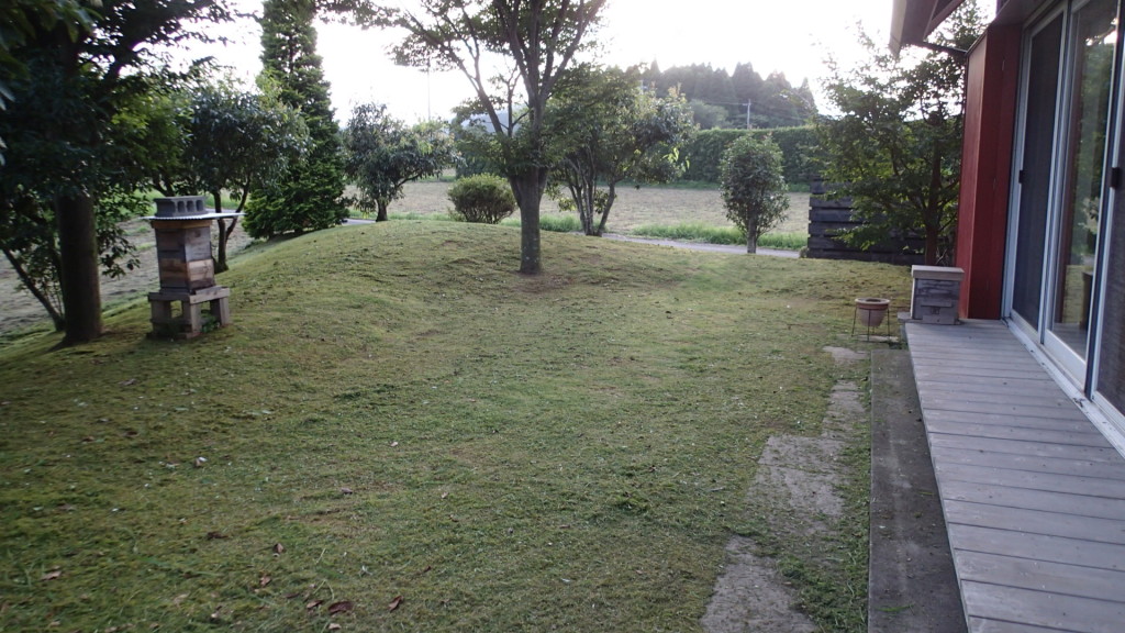 紐ビーバーでブンブン、まだ片付け、かき集めなくてはなりません。