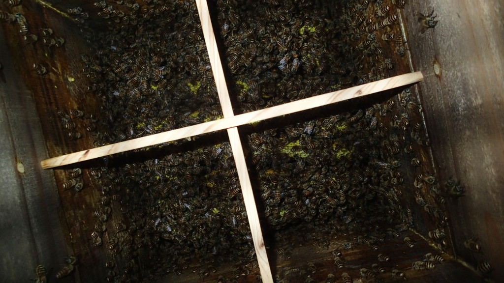 これから頑張るはずです。