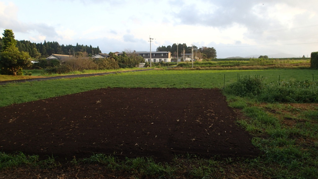 夏野菜が終わり、次の家庭菜園の準備です。