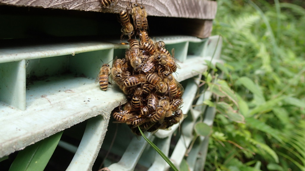 みんなでちから合わせて攻撃
