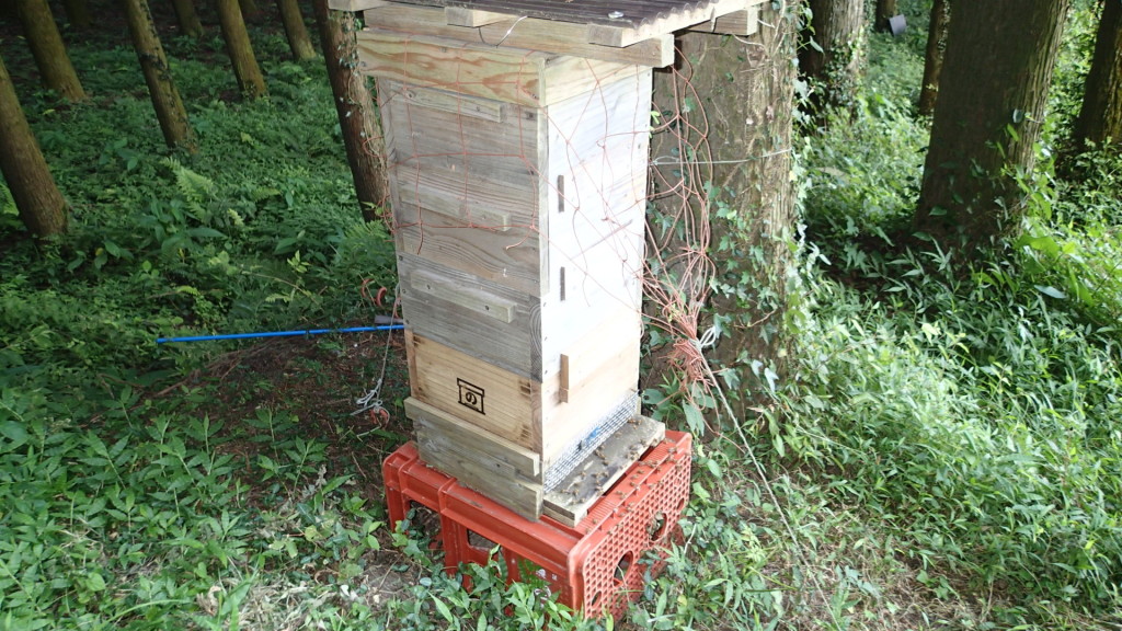 台風対策のネット