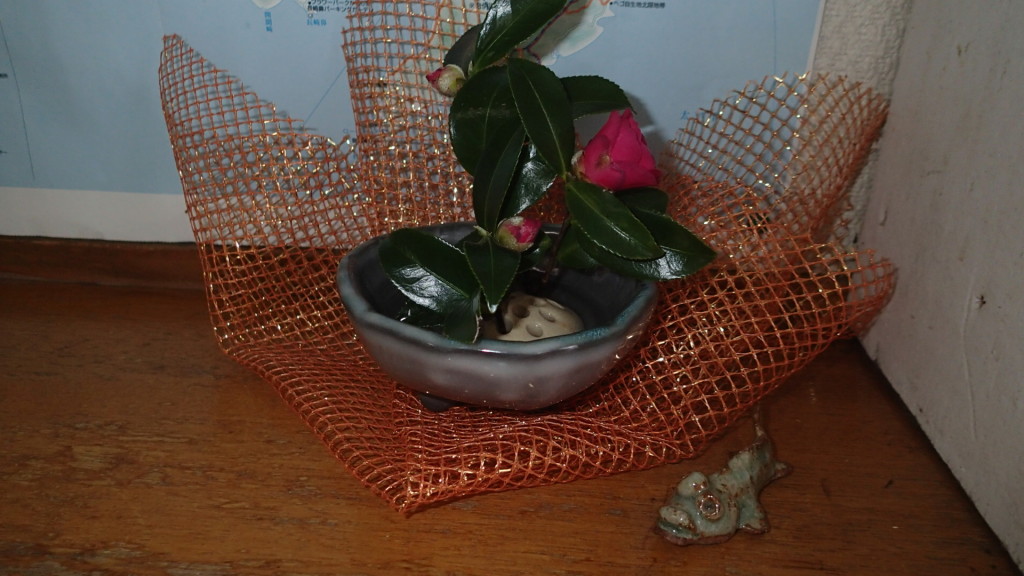 いつものお店で、