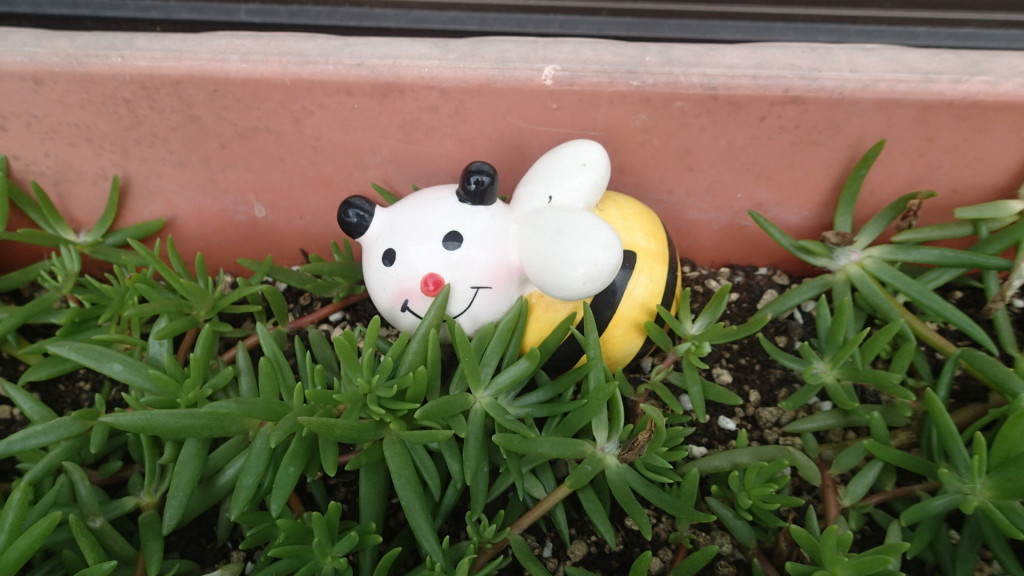 立ち止まったら、いいもの見つけて、ウフゥってなります。