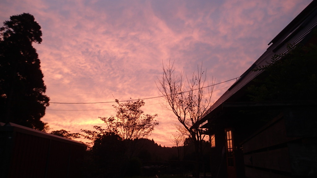 今朝、きれいでした。