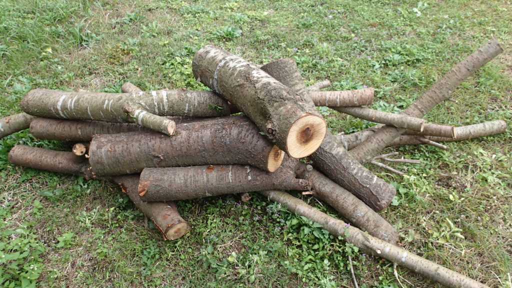 ちょっとなんだけど、これがいいんです。