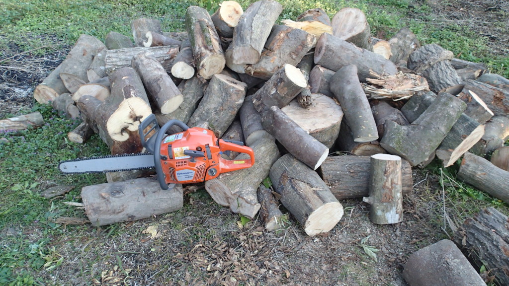 2時間作業でした。