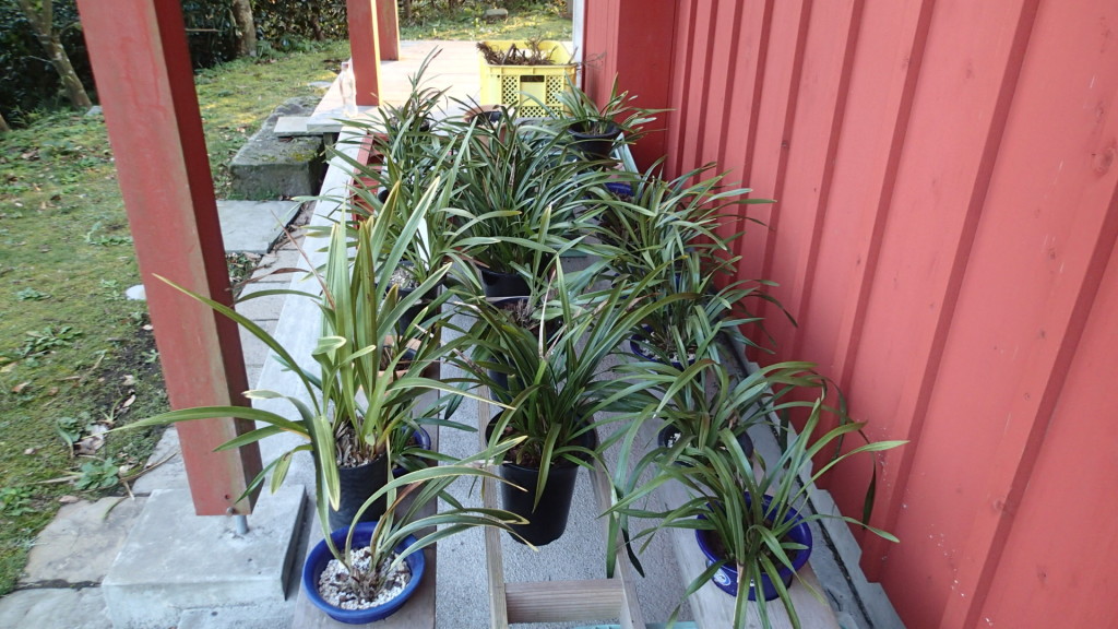 今ここで北風避けています。