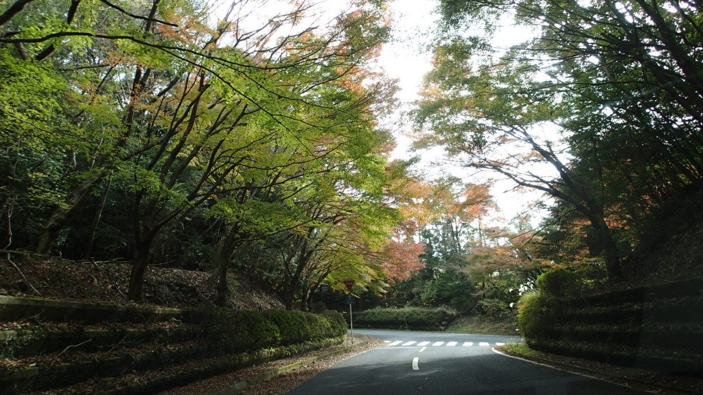 もっときれいなとこもあったけど、ここは緑も残っていてきれいでした。