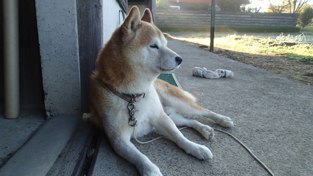 何事もなかったように、終了。