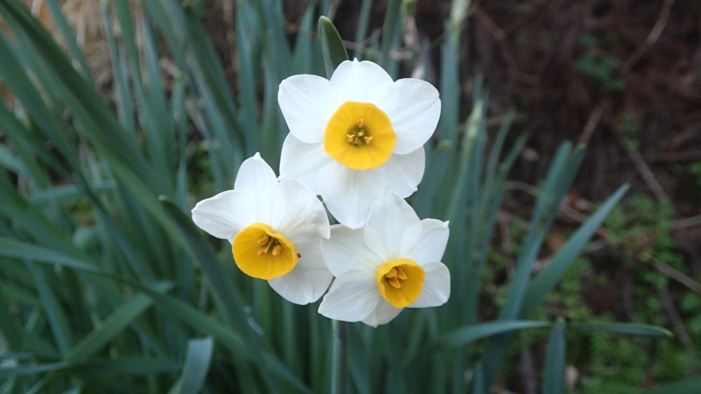 最近目にします。