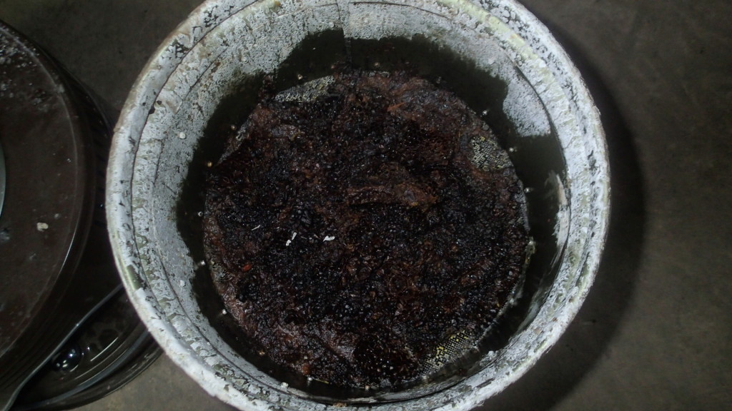 まだ原型があります。この白いのは何？