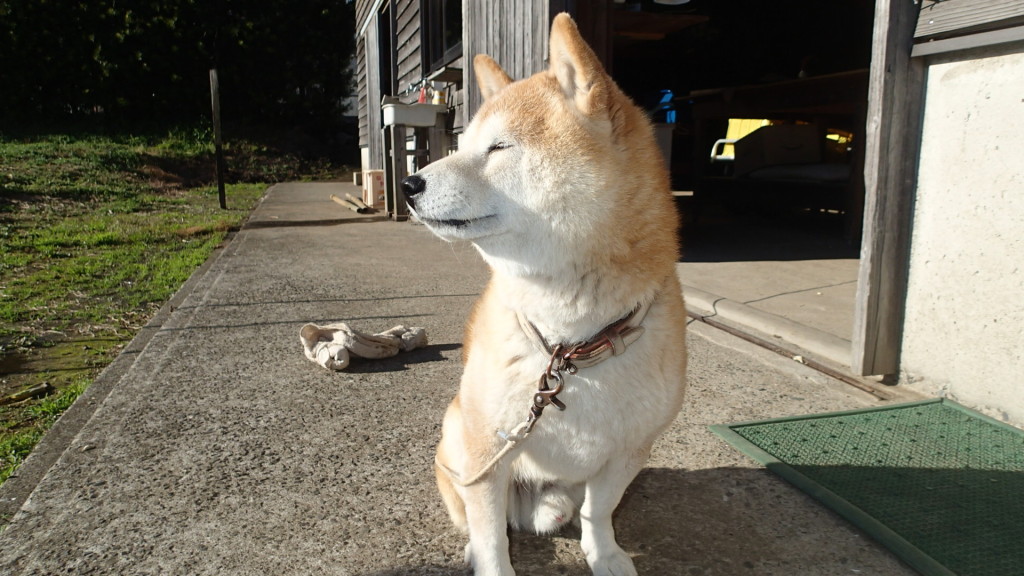横顔もね！かわいいって家内はいいます。